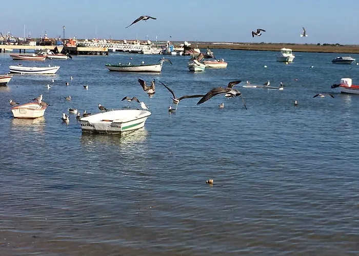 Dream Holidays @ Tavira 아파트 *