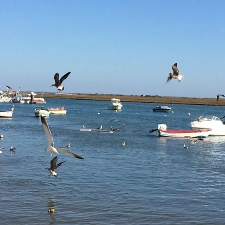 Dream Holidays @ Santa Luzia Tavira *
